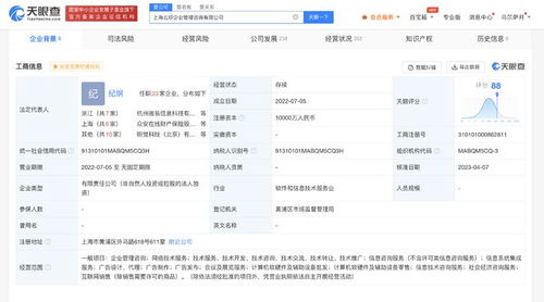 螞蟻集團子公司資本激增9900%，加速布局信息系統集成服務